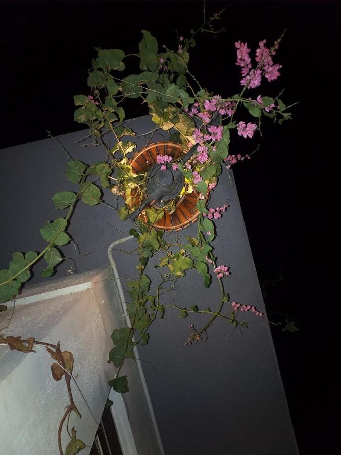 Mango Tree Homestay Hampi Bagian luar foto